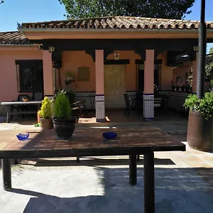 Palmeras Ronda