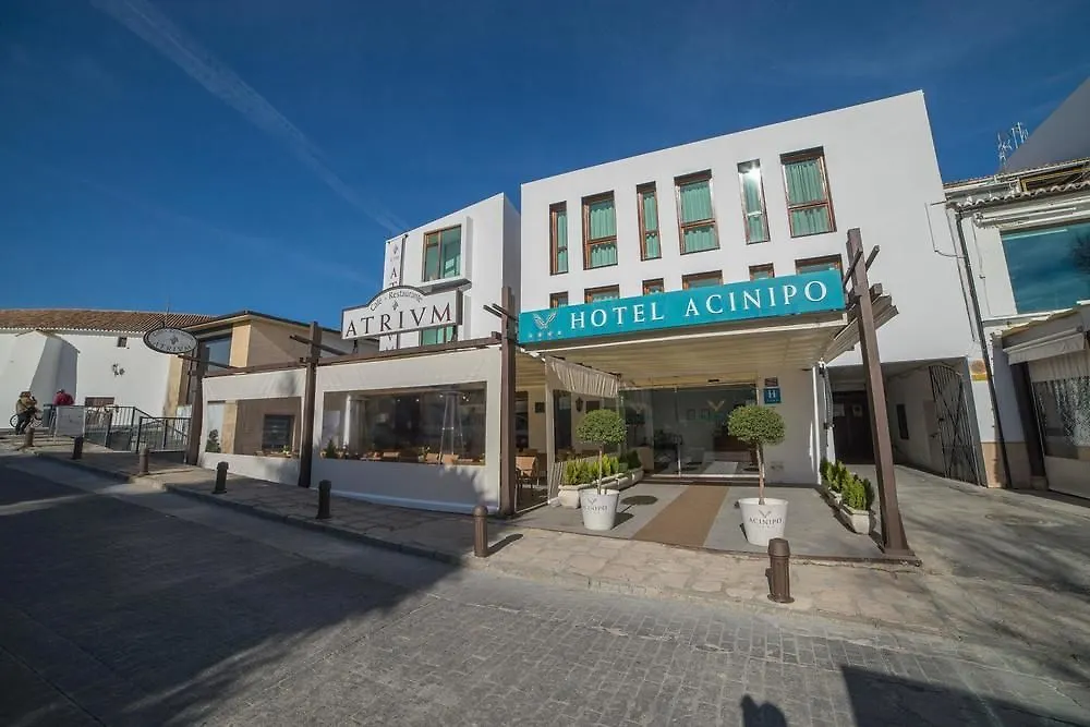 Hotel Acinipo Ronda